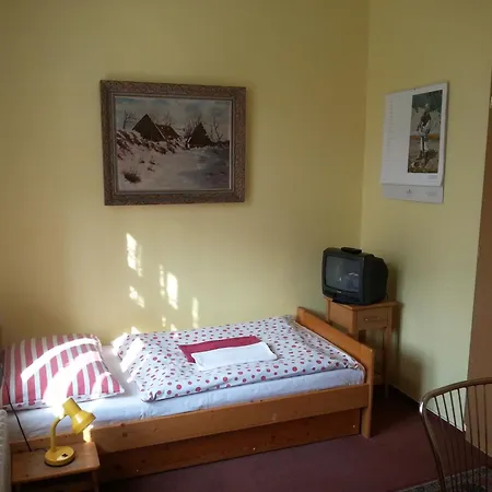 Guest house U Dolezalu 3*